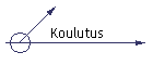 Koulutus