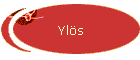 Yls