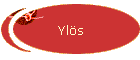 Ylös